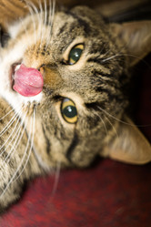 Similar image 7640317