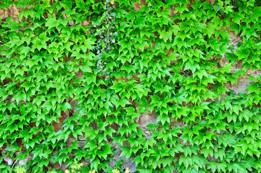 Similar image 7640429