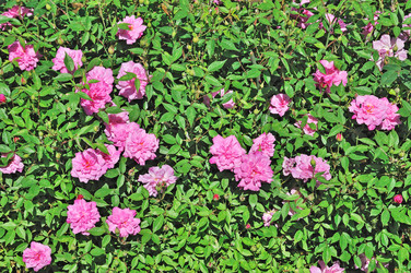 Similar image 7640430