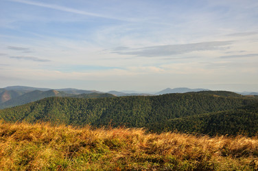 Similar image 7640433