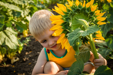 Similar image 7640902