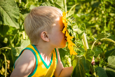 Similar image 7640907