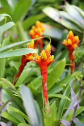 Similar image 7640926