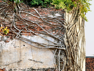 Similar image 7640949