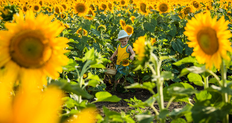 Similar image 7640959