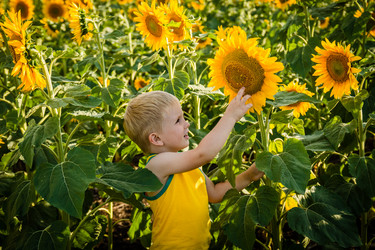 Similar image 7640960