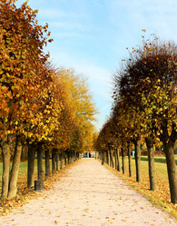 Similar image 7640972