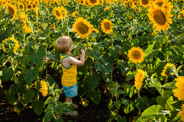 Similar image 7640973