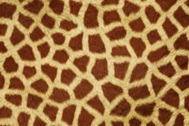 Similar image 7640989