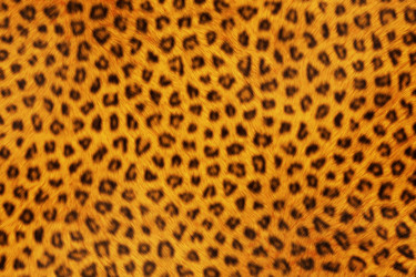 Similar image 7640992