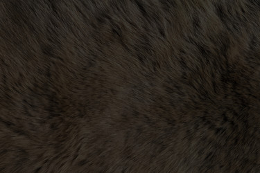 Similar image 7641002