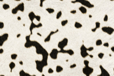 Similar image 7641010