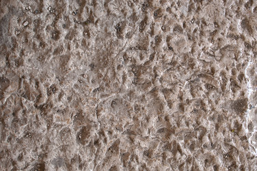 Similar image 7641207