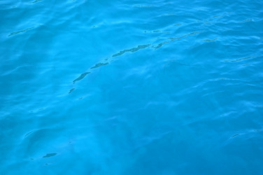 Similar image 7641243