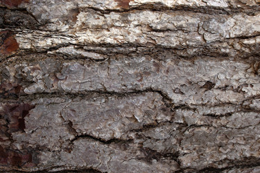 Similar image 7641255