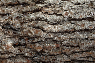 Similar image 7641258