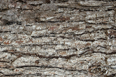 Similar image 7641259