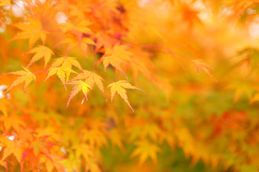 Similar image 7641429