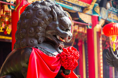 Similar image 7641449