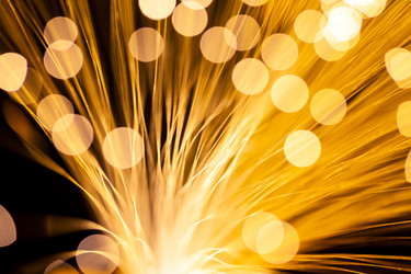 Similar image 7641482