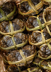 Similar image 7641533