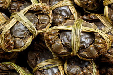 Similar image 7641547