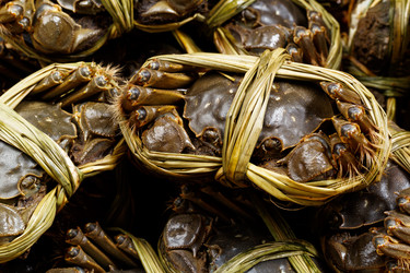 Similar image 7641553