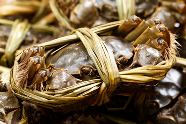 Similar image 7641554