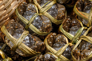 Similar image 7641558