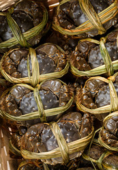 Similar image 7641559