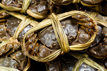 Similar image 7641562