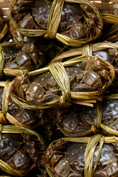 Similar image 7641667