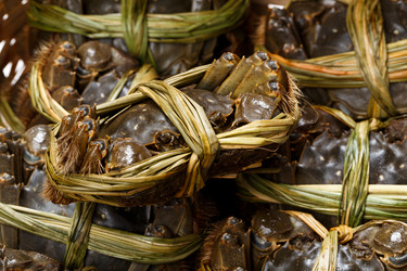 Similar image 7641675