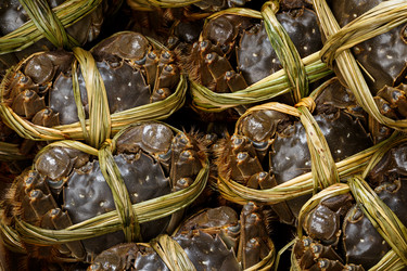 Similar image 7641678