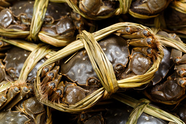 Similar image 7641682