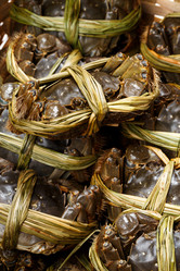 Similar image 7641691