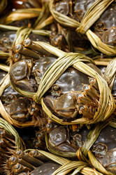 Similar image 7641692