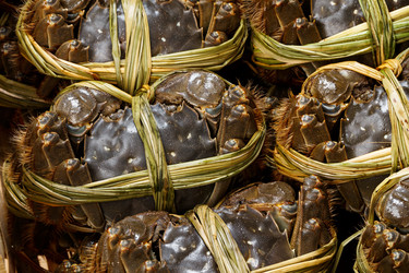 Similar image 7641704