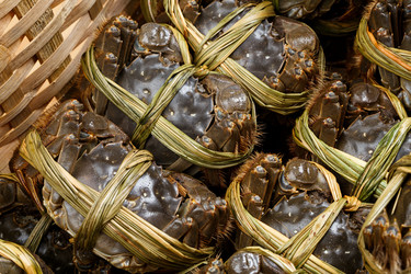 Similar image 7641712