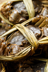 Similar image 7641715