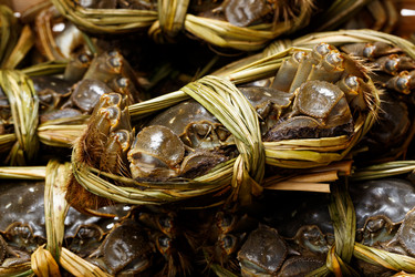 Similar image 7641719