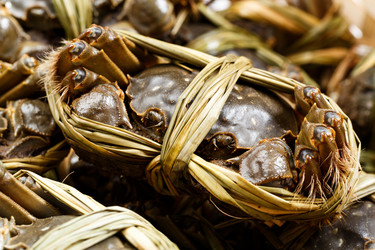 Similar image 7641721