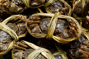 Similar image 7641723