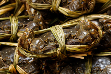 Similar image 7641736