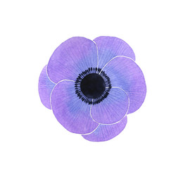 Similar image 7641799