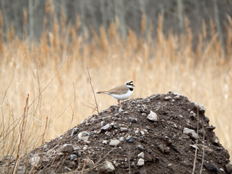 Similar image 7641807