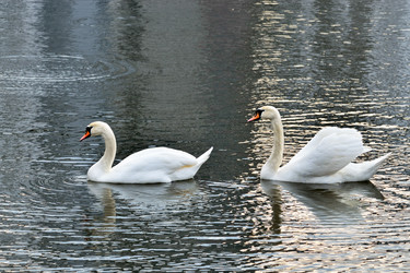 Similar image 7641833