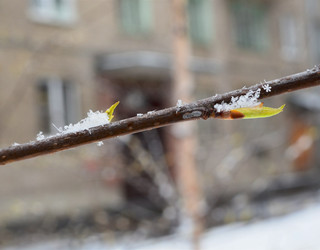 Similar image 7641838