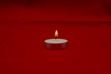 Similar image 7641883