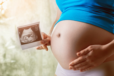 Similar image 7641886